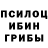 ГАШ гашик Alisha Black