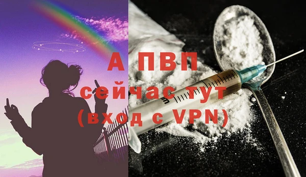 Альфа ПВП Белокуриха