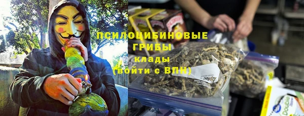прущие грибы Кодинск