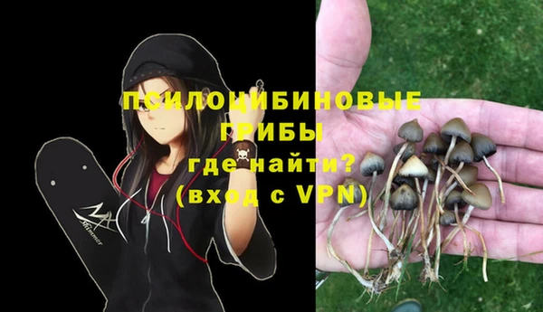 гидра Балахна