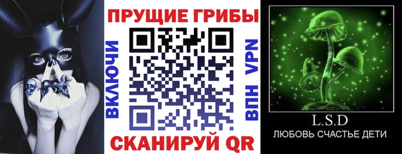 Галлюциногенные грибы прущие грибы  купить наркотики цена  Салаир 